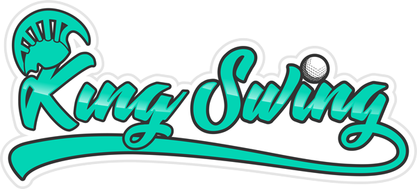 King Swing Hawaii